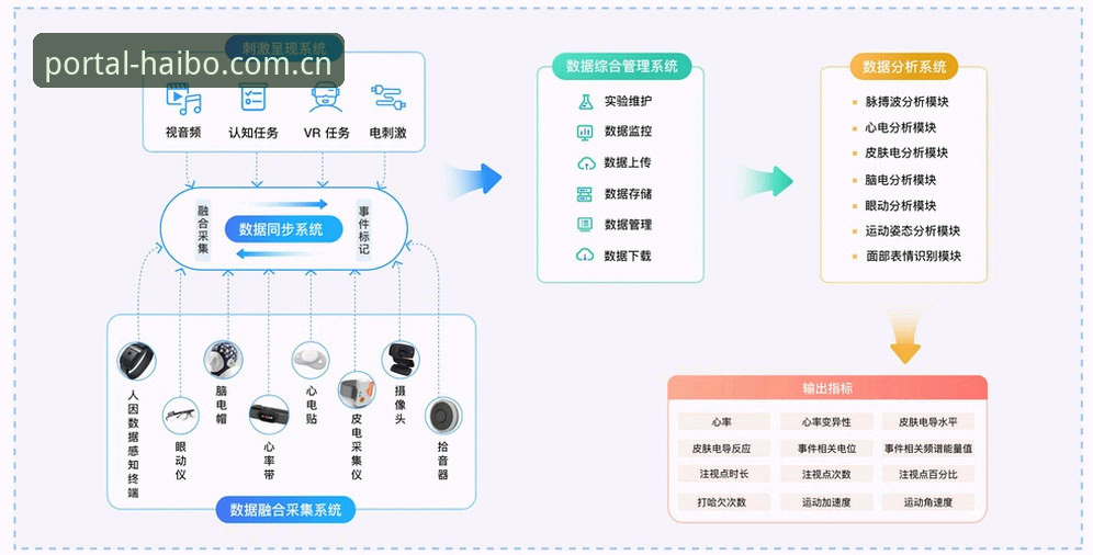 海博体育平台登录入口全面解析：从数据查询到版本同步的实用指南